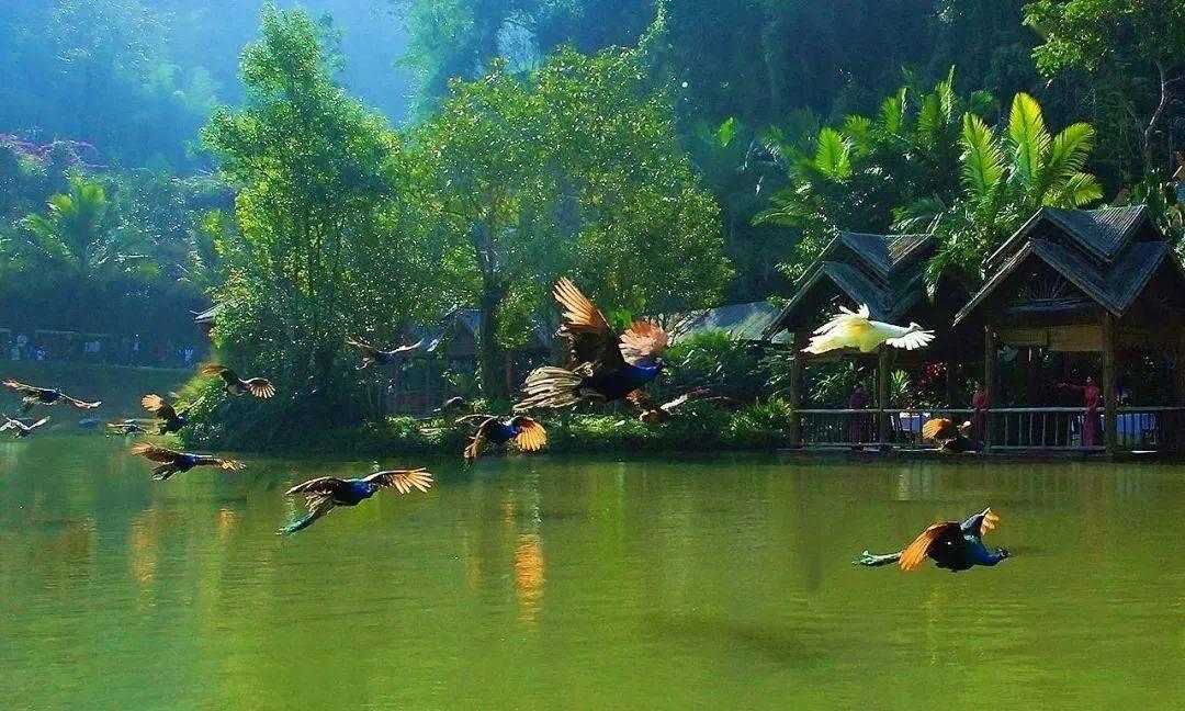 重返战场